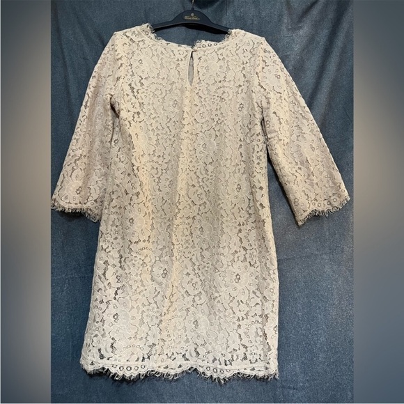 Joie Lace Mini Dress in Light Pink - Picture 14 of 15